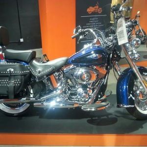 Meet your Posher, Frank